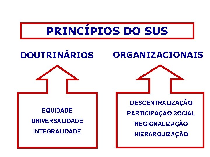 PRINCÍPIOS DO SUS DOUTRINÁRIOS ORGANIZACIONAIS DESCENTRALIZAÇÃO EQÜIDADE PARTICIPAÇÃO SOCIAL UNIVERSALIDADE REGIONALIZAÇÃO INTEGRALIDADE HIERARQUIZAÇÃO PRINCÍPIOS DO SUS DOUTRINÁRIOS ORGANIZACIONAIS DESCENTRALIZAÇÃO EQÜIDADE PARTICIPAÇÃO SOCIAL UNIVERSALIDADE REGIONALIZAÇÃO INTEGRALIDADE HIERARQUIZAÇÃO