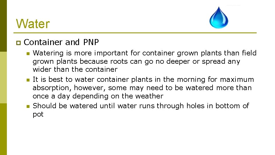 Water p Container and PNP n n n Watering is more important for container