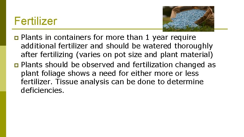 Fertilizer Plants in containers for more than 1 year require additional fertilizer and should