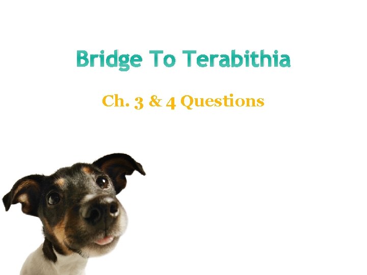 Bridge To Terabithia Ch. 3 & 4 Questions 