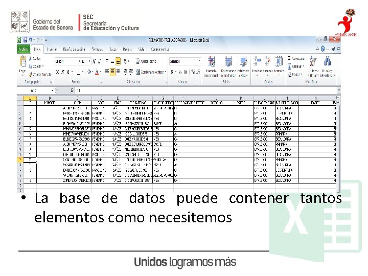 Ejemplos de uso. - Ficha de datos • La base de datos puede contener
