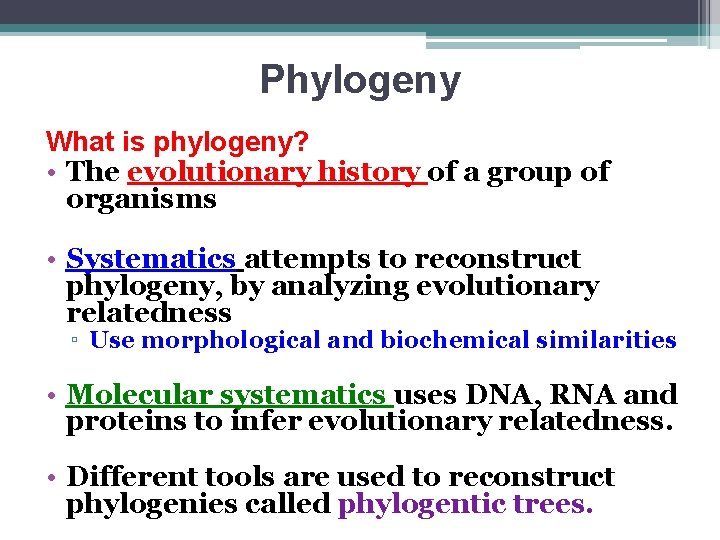 Phylogeny What is phylogeny? • The evolutionary history of a group of organisms •