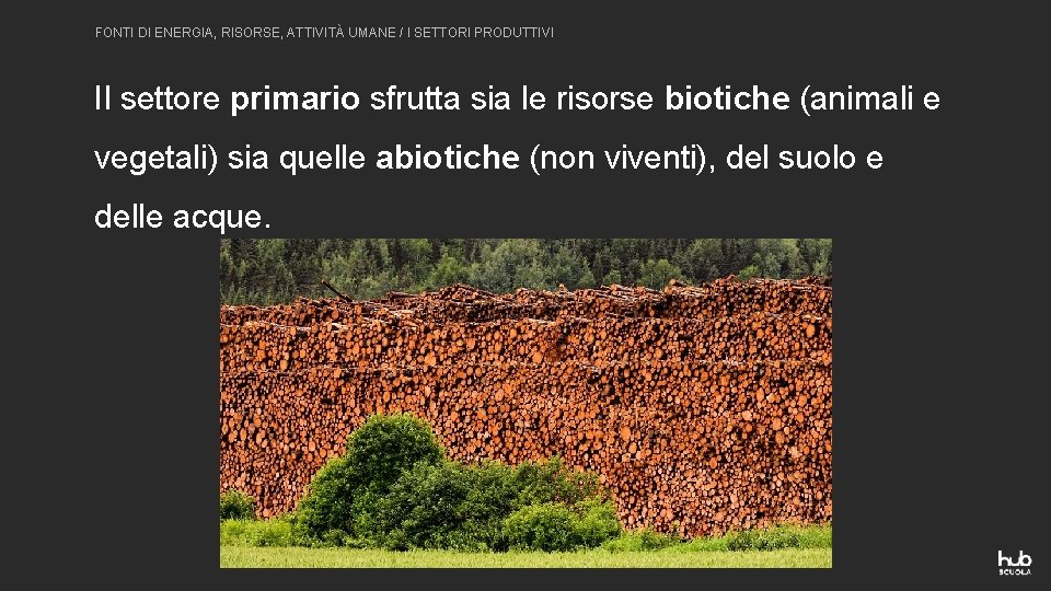 FONTI DI ENERGIA, RISORSE, ATTIVITÀ UMANE / I SETTORI PRODUTTIVI Il settore primario sfrutta