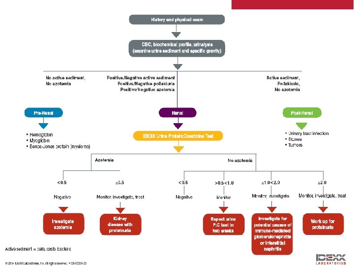 21 © 2002 IDEXX LABORATORIES, INC. | Proprietary and Confidential | 25 -Oct-20 