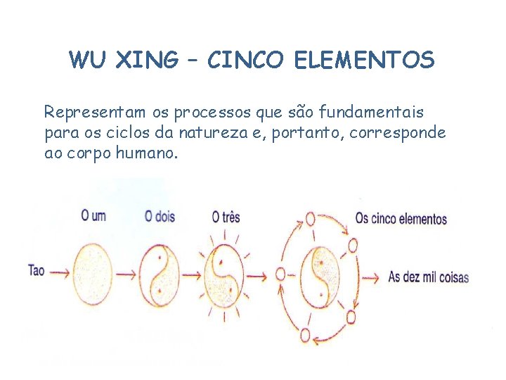 WU XING – CINCO ELEMENTOS Representam os processos que são fundamentais para os ciclos