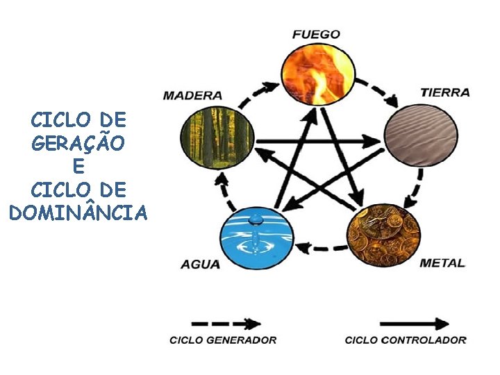 CICLO DE GERAÇÃO E CICLO DE DOMIN NCIA 