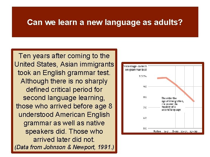Can we learn a new language as adults? Ten years after coming to the