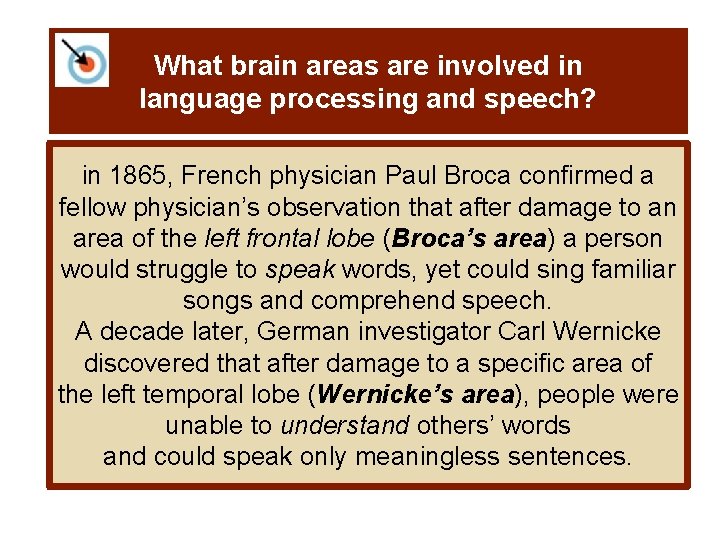 What brain areas are involved in language processing and speech? in 1865, French physician
