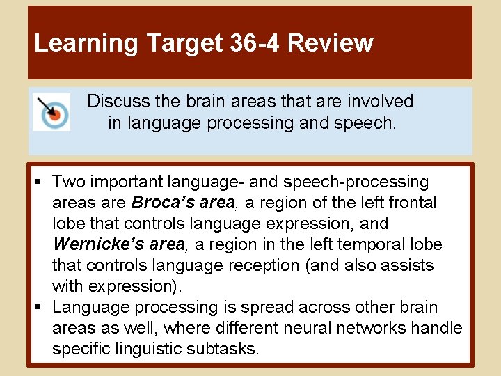 Learning Target 36 -4 Review Discuss the brain areas that are involved in language