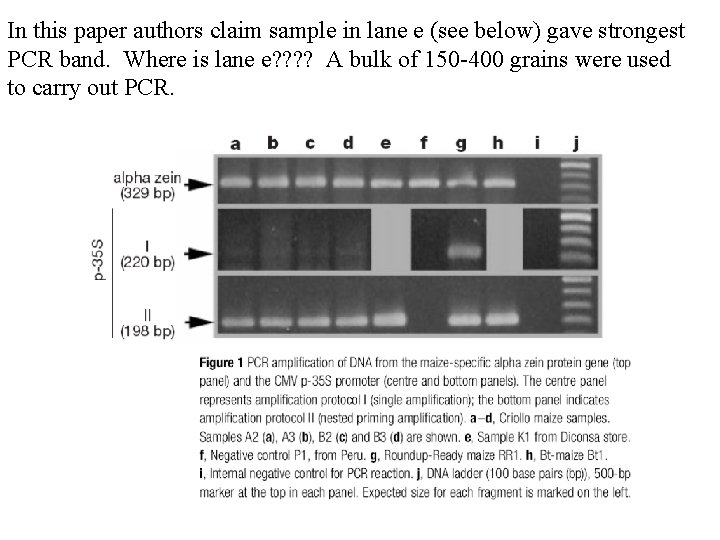 In this paper authors claim sample in lane e (see below) gave strongest PCR