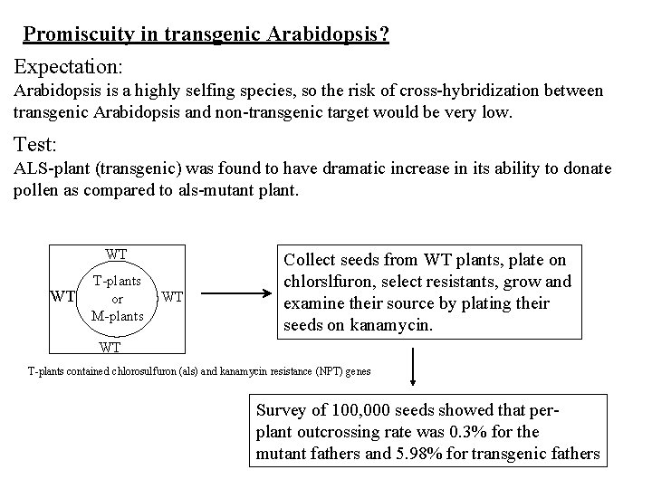 Promiscuity in transgenic Arabidopsis? Expectation: Arabidopsis is a highly selfing species, so the risk