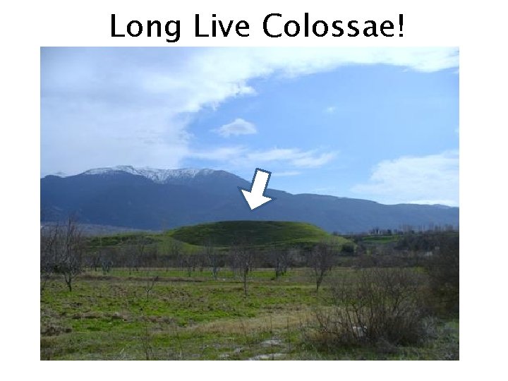 Long Live Colossae! 