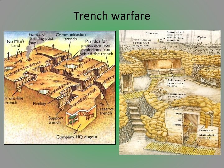 Trench warfare 