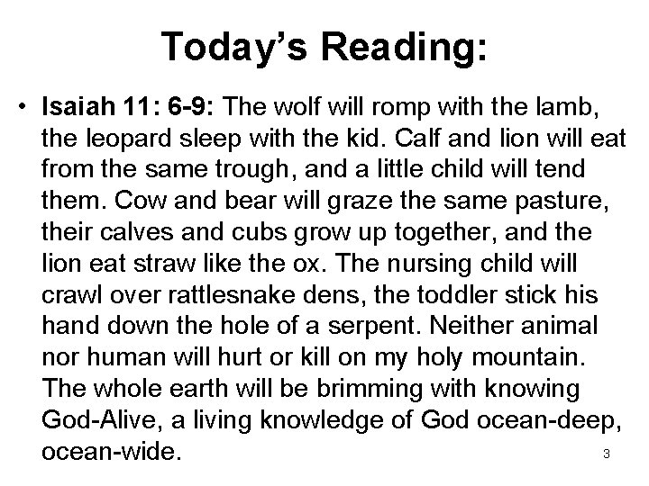 Today’s Reading: • Isaiah 11: 6 -9: The wolf will romp with the lamb,