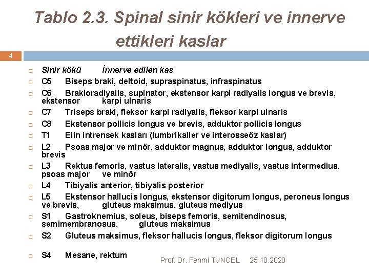 Tablo 2. 3. Spinal sinir kökleri ve innerve ettikleri kaslar 4 Sinir kökü İnnerve