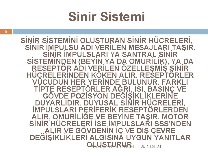 Sinir Sistemi 5 SİNİR SİSTEMİNİ OLUŞTURAN SİNİR HÜCRELERİ, SİNİR İMPULSU ADI VERİLEN MESAJLARI TAŞIR.