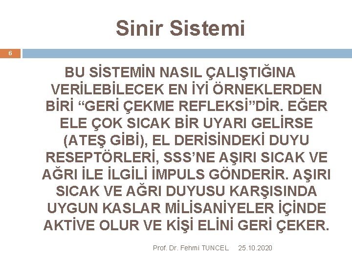 Sinir Sistemi 6 BU SİSTEMİN NASIL ÇALIŞTIĞINA VERİLEBİLECEK EN İYİ ÖRNEKLERDEN BİRİ “GERİ ÇEKME