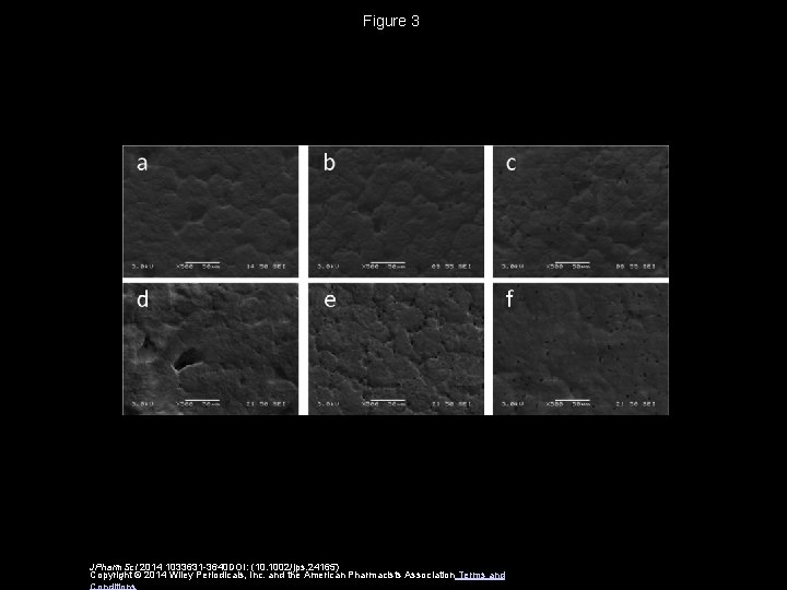 Figure 3 JPharm. Sci 2014 1033631 -3640 DOI: (10. 1002/jps. 24165) Copyright © 2014