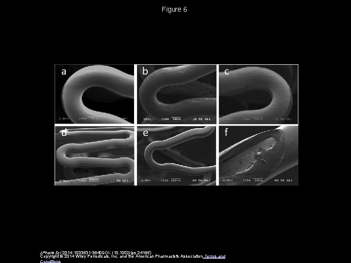 Figure 6 JPharm. Sci 2014 1033631 -3640 DOI: (10. 1002/jps. 24165) Copyright © 2014