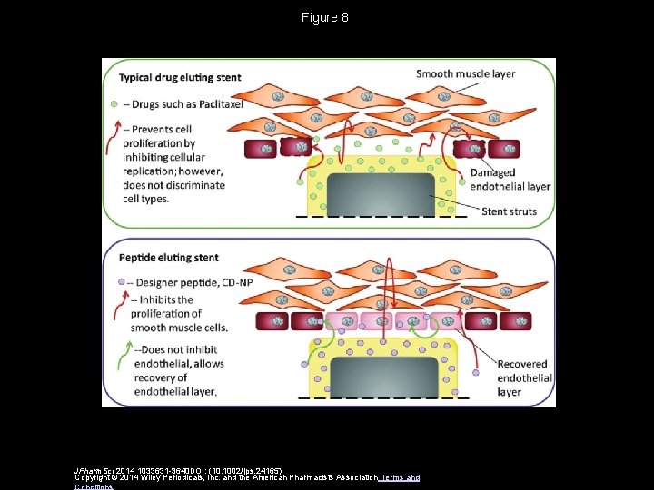 Figure 8 JPharm. Sci 2014 1033631 -3640 DOI: (10. 1002/jps. 24165) Copyright © 2014