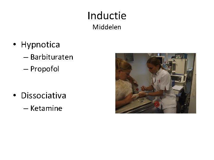 Inductie Middelen • Hypnotica – Barbituraten – Propofol • Dissociativa – Ketamine 