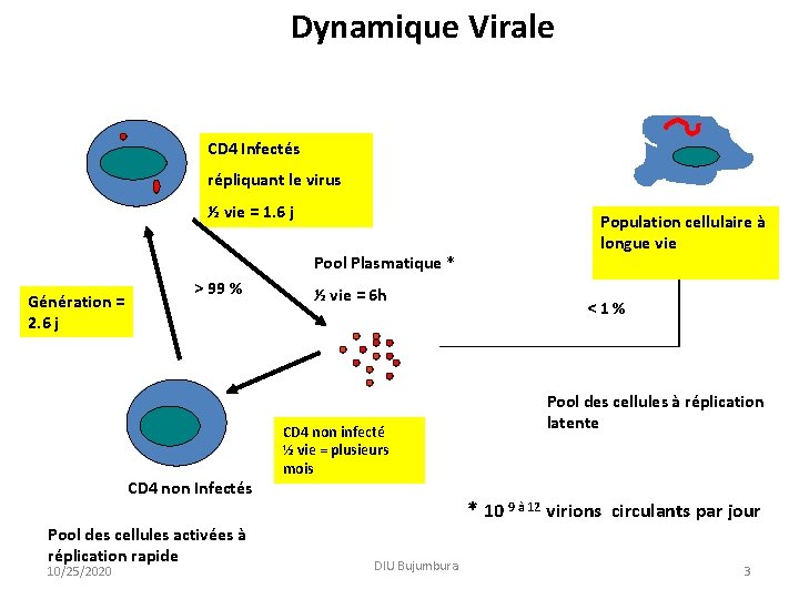 Dynamique Virale CD 4 Infectés répliquant le virus ½ vie = 1. 6 j Dynamique Virale CD 4 Infectés répliquant le virus ½ vie = 1. 6 j