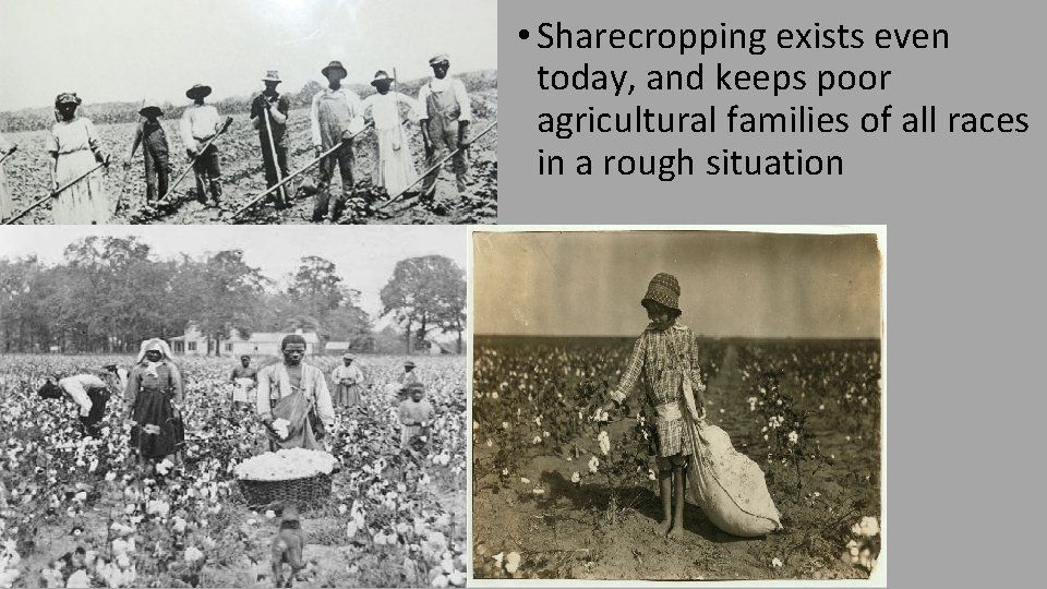  • Sharecropping exists even today, and keeps poor agricultural families of all races