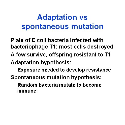 Adaptation vs spontaneous mutation Plate of E coli bacteria infected with bacteriophage T 1: