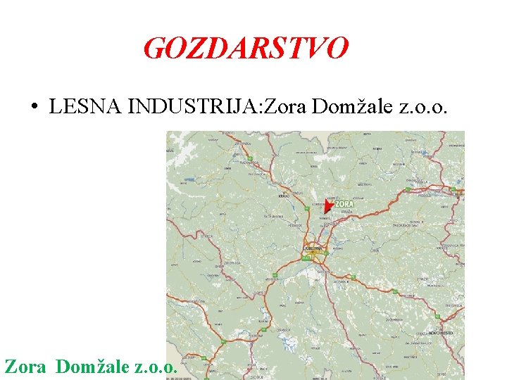 GOZDARSTVO • LESNA INDUSTRIJA: Zora Domžale z. o. o. 