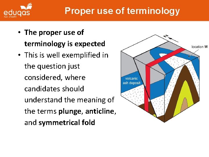 Proper use of terminology • The proper use of terminology is expected • This Proper use of terminology • The proper use of terminology is expected • This