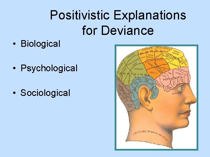 Positivistic Explanations for Deviance • Biological • Psychological • Sociological 