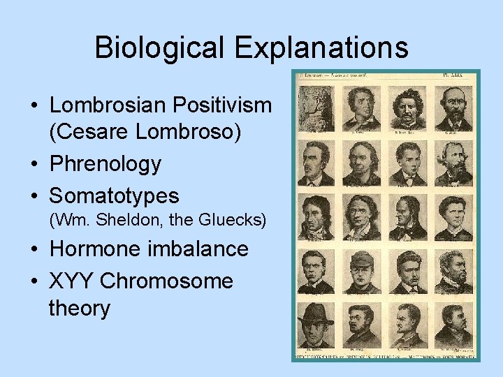 Biological Explanations • Lombrosian Positivism (Cesare Lombroso) • Phrenology • Somatotypes (Wm. Sheldon, the