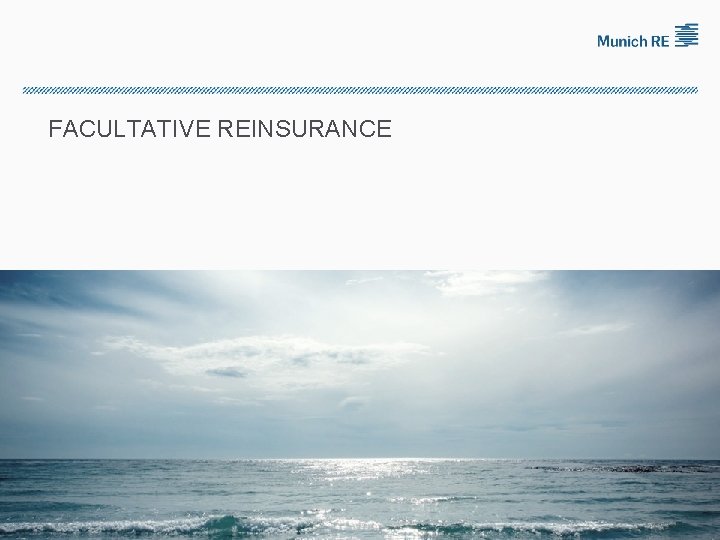 FACULTATIVE REINSURANCE 