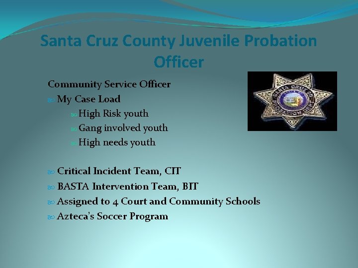 Santa Cruz County Juvenile Probation Officer Community Service Officer My Case Load High Risk