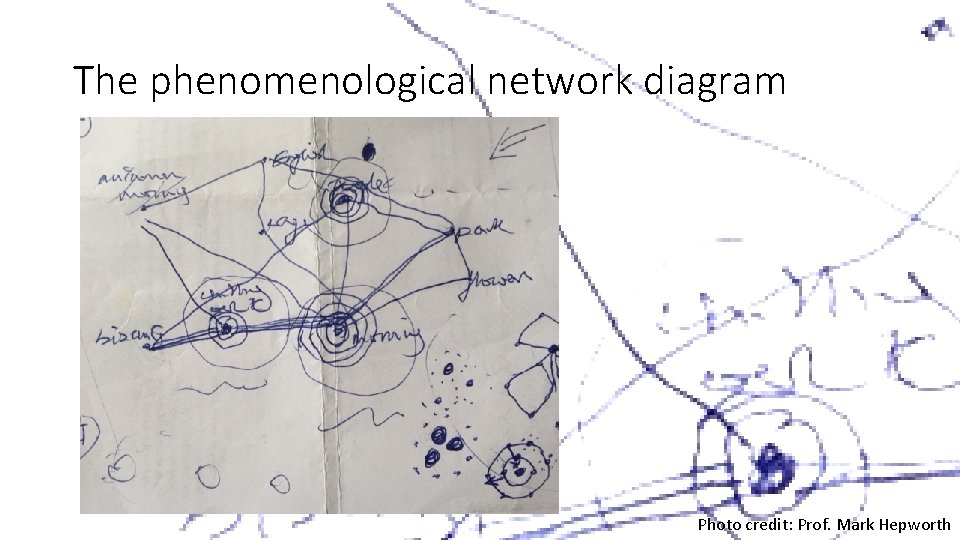 The phenomenological network diagram Photo credit: Prof. Mark Hepworth 