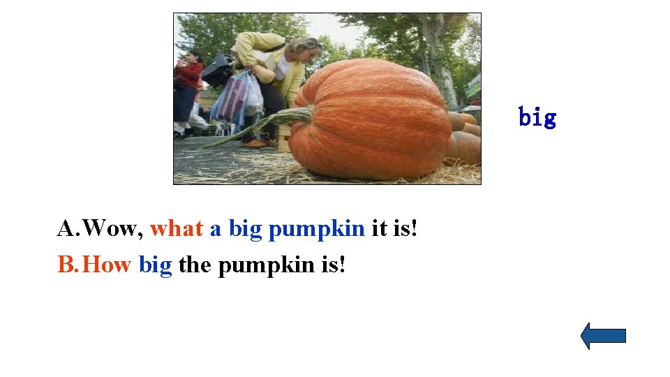 big A. Wow, what a big pumpkin it is! B. How big the pumpkin