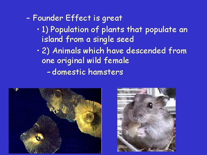 – Founder Effect is great • 1) Population of plants that populate an island