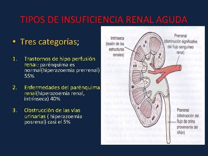 TIPOS DE INSUFICIENCIA RENAL AGUDA • Tres categorías; 1. Trastornos de hipo perfusión renal