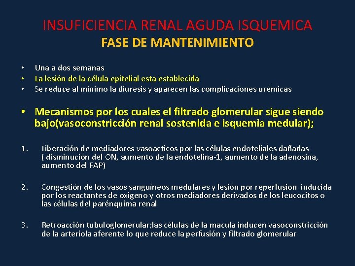 INSUFICIENCIA RENAL AGUDA ISQUEMICA FASE DE MANTENIMIENTO • • • Una a dos semanas