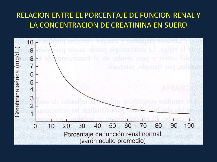 RELACION ENTRE EL PORCENTAJE DE FUNCION RENAL Y LA CONCENTRACION DE CREATININA EN SUERO