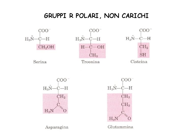 GRUPPI R POLARI, NON CARICHI 