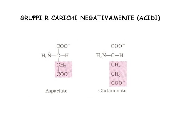 GRUPPI R CARICHI NEGATIVAMENTE (ACIDI) 