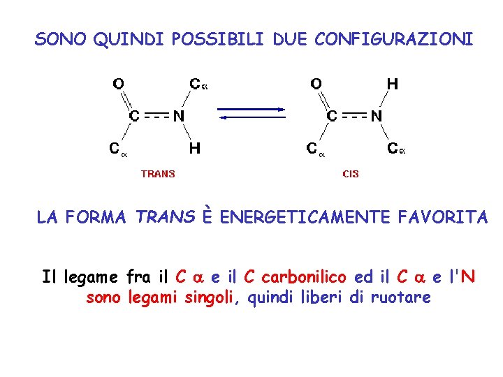 SONO QUINDI POSSIBILI DUE CONFIGURAZIONI LA FORMA TRANS È ENERGETICAMENTE FAVORITA Il legame fra