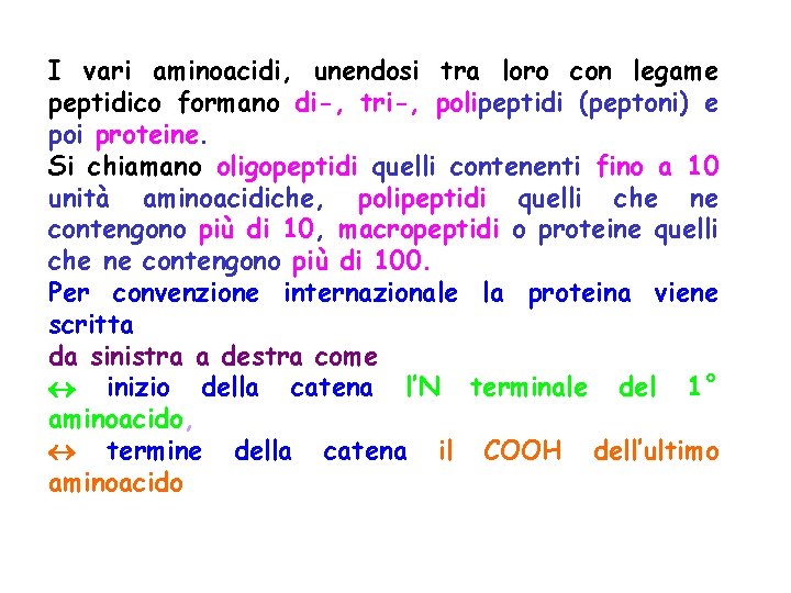 I vari aminoacidi, unendosi tra loro con legame peptidico formano di-, tri-, polipeptidi (peptoni)