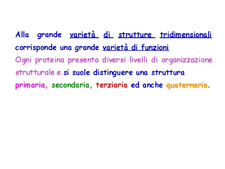 Alla grande varietà di strutture tridimensionali corrisponde una grande varietà di funzioni Ogni proteina