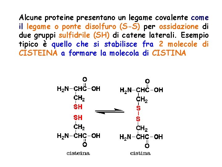 Alcune proteine presentano un legame covalente come il legame o ponte disolfuro (S-S) per