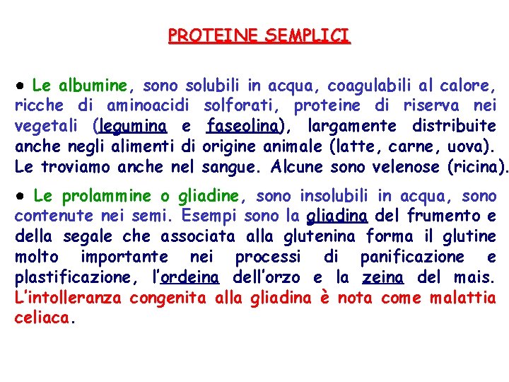 PROTEINE SEMPLICI ● Le albumine, sono solubili in acqua, coagulabili al calore, ricche di