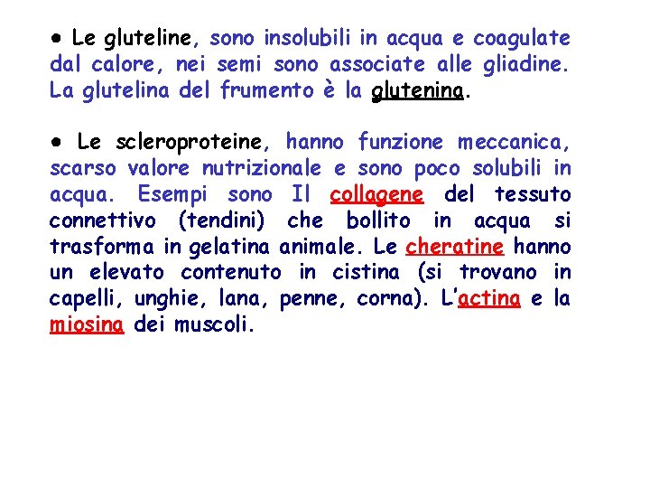 ● Le gluteline, sono insolubili in acqua e coagulate dal calore, nei semi sono