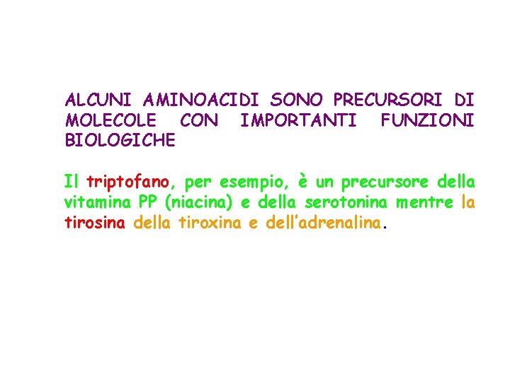 ALCUNI AMINOACIDI SONO PRECURSORI DI MOLECOLE CON IMPORTANTI FUNZIONI BIOLOGICHE Il triptofano, per esempio,