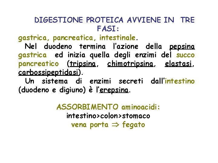 LA DIGESTIONE PROTEICA AVVIENE IN TRE FASI: gastrica, pancreatica, intestinale. Nel duodeno termina l’azione